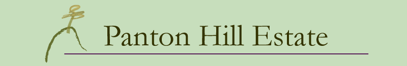 Panton Hill Estate